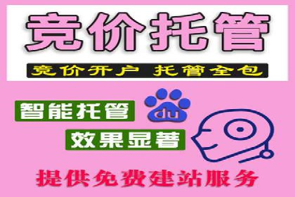 行业首例：SEM竞价优化案例的成效与启示